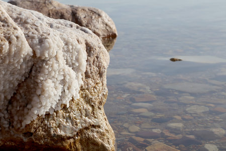 dead sea salt at Jordan, Middle East