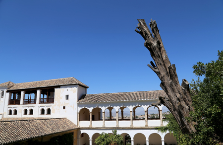 Alhambra Palace - medieval moorish castle in Granada, Andalusia, Spainのeditorial素材