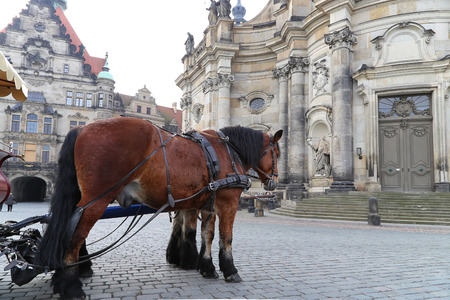 Historical center of Dresden (landmarks), Germanyのeditorial素材