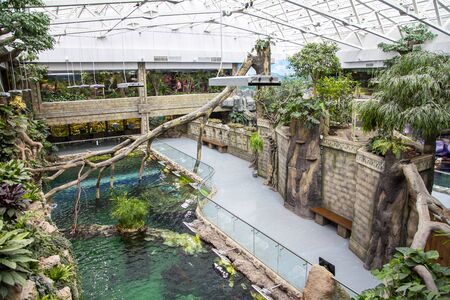 The interior of the Oceanarium Crocus City, over 5000 species of fish and other animals from all over the world. Moscow, Russia.の写真素材