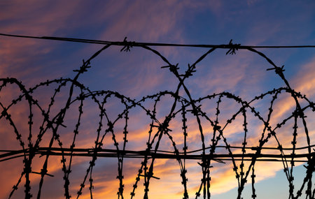 Ð¡ontour of barbed wire on the background of the sunset orange skyの写真素材