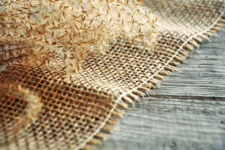 dry flower on jute ribbon and grey woodの写真素材