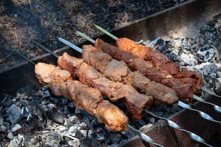 The meat is roasted on the coals of a fire Barbecue cooked on the grillの写真素材