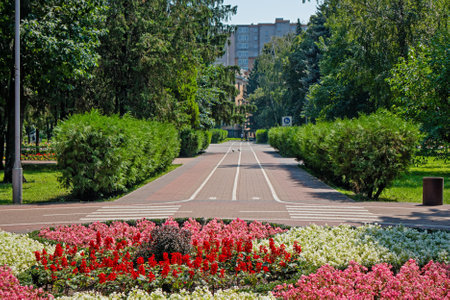 An alley in a city park with a bike path, a flower bed, bushes and trees. summer sunny dayの写真素材
