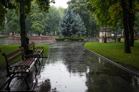 Empty city park with benches on a rainy day - Kremenchuk city, Ukraineの写真素材