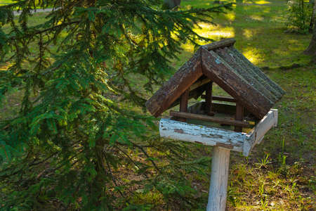 Old wooden bird feeder in the forest next to a coniferous treeの写真素材