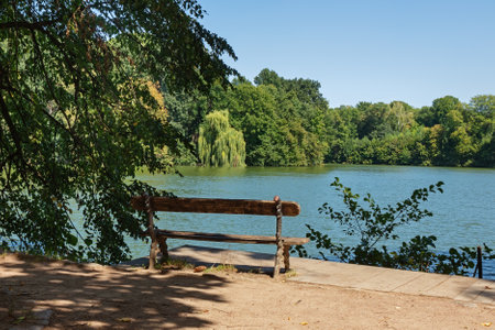 Park bench on the bank of a pond on a summer sunny day with a clear blue sky. Nature of Ukraineの写真素材