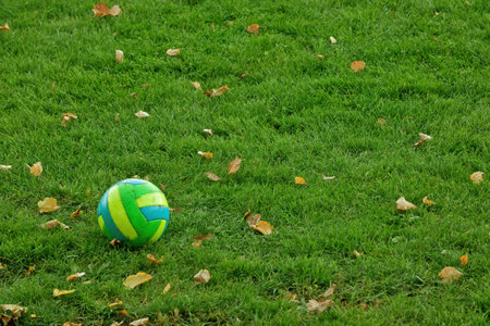 Football children's ball on the green grass of the football field. Fallen yellow autumn leavesの写真素材