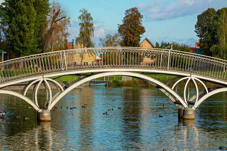Iron pedestrian arch bridge over the pond in the city garden. water birds. Sunny day. Kremenchuk city, Ukraineの写真素材