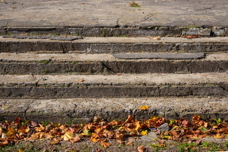 old concrete steps. Stone stairs leading to an abandoned house. Autumn leaves fallen. Sunny day
