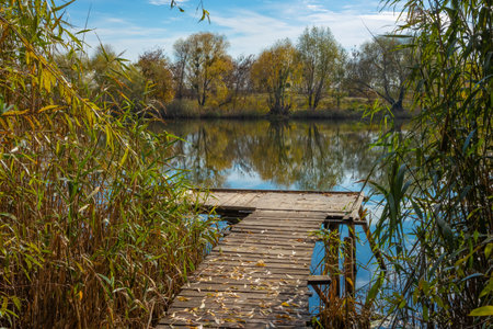A scenic place for fishing on the banks of the Siverskyi Donets River on an autumn sunny day. Nature of Ukraineの写真素材