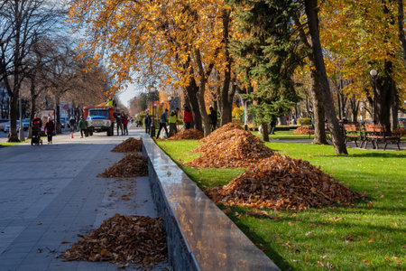 Kremenchuk city, Ukraine - November 1, 2022: The men clean up the fallen leaves and load them into the car. City park and sidewalk on a sunny autumn dayのeditorial素材