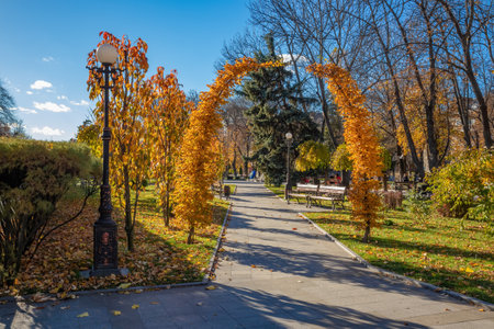 Autumn in the city garden Kremenchuk city. Pedestrian alley. yellow leaves on trees and bushesの写真素材