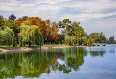Scenic shore of the lake with trees. Lake embankment in Ivano-Frankivsk city in summer dayの写真素材