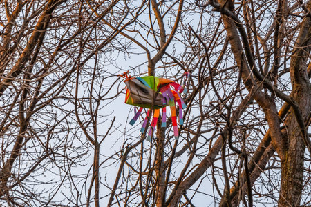 Kite got tangled in the branches of a tree. environmental pollutionの写真素材