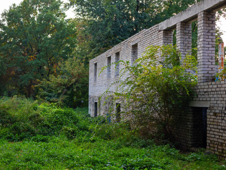 Unfinished white brick house surrounded by dense vegetation, abandoned buildingの写真素材