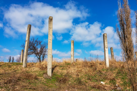 High iron concrete pillars in nature on a sunny day. Abandoned construction site. Unfinished house or other architectural structureの写真素材