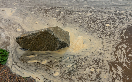 Foam on the surface of the water on the shore of a reservoir (river, lake or pond) and a large...