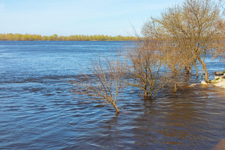 Bank of the Dnieper river and trees flooded - high water level rose in the rivers of Ukraine in the...