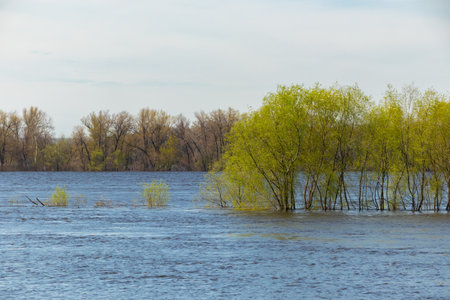 Spring flood on the Dnieper River (Dnipro), trees flooded with water. Rising water levels in rural areasの写真素材