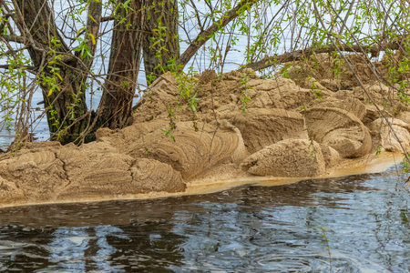 Brown foam on the surface of the water in the river near the tree close-up. Ecology problem - water...