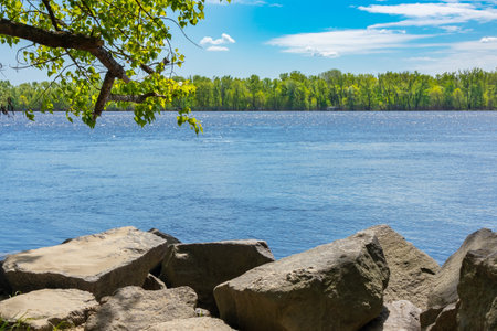 Wide Dnieper river with stones and trees on the bank on a sunny spring or summer dayの写真素材