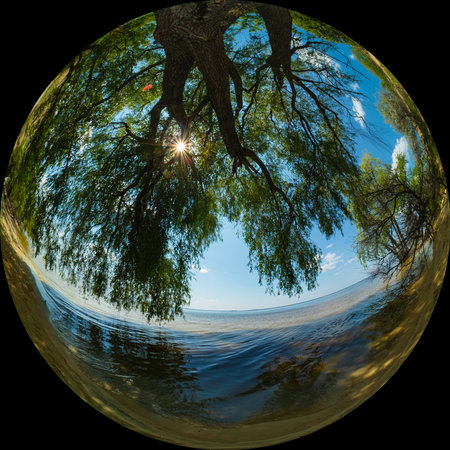 Willow tree on the sandy shore on a sunny summer day. Photo through a wide-angle circular fisheye lensの写真素材