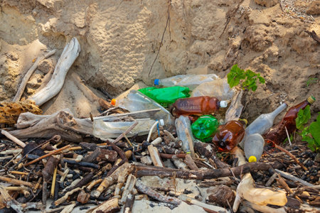 Plastic bottles and rubbish washed up on the sandy shore. The problem of environmental pollutionの写真素材