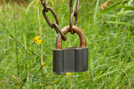 Big padlock hangs on a rusty chain against a background of green grass. soft selective focusの写真素材