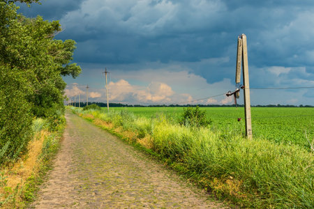 Damaged power line with broken wires and concrete poles near the road and field against the background of storm clouds in the sky on a summer dayの写真素材