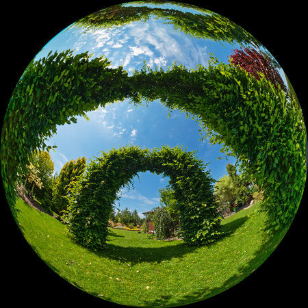Green garden arches on a summer sunny day. The photo was taken through a circular wide-angle fisheye lens in fulldome formatの写真素材