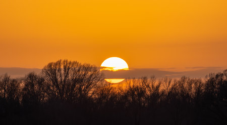 The Sun close-up at sunset hides behind a cloud and branches of trees without leavesの写真素材