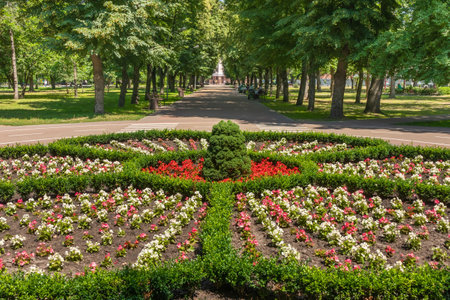 Round flower bed and alley in the city garden on a sunny summer dayの写真素材