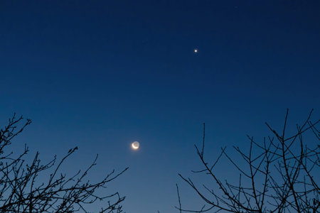 Crescent Moon and star in the morning sky above the branches of trees without leavesの写真素材