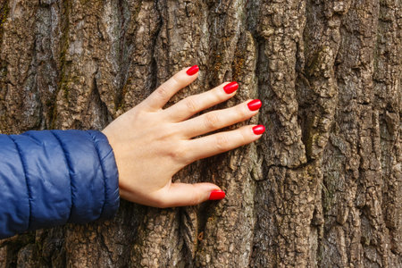 A woman's hand with red manicure on her nails touches the bark of a large old tree trunk. Forest protection conceptの写真素材