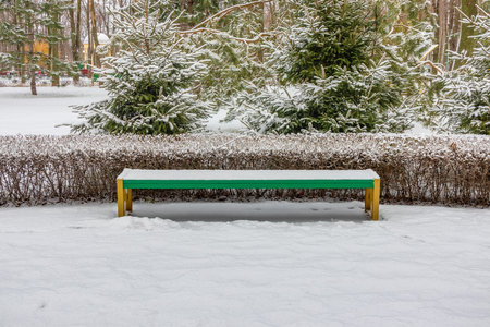 Flat bench in a city park or in a garden with bushes and coniferous trees in winter after a snowfallの写真素材