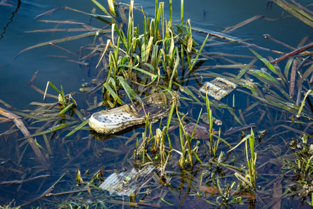 Trash on the river bank. Water pollution by garbage is an environmental problemの写真素材