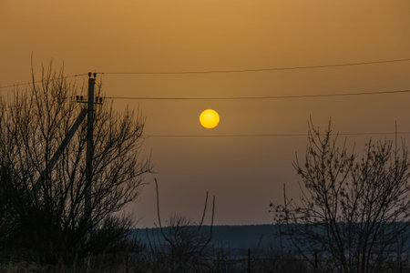 Sunrise in smog, a lot of dust and smoke fog. Trees without leaves and overhead power line in the...