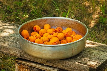 Harvest of ripe apricot fruits in a metal vintage plate on an old wooden bench in the garden. Natural vegetarian foodの写真素材