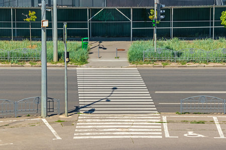 Pedestrian crossing on an asphalt road with white markings and a traffic light in an empty city on a sunny summer dayの写真素材