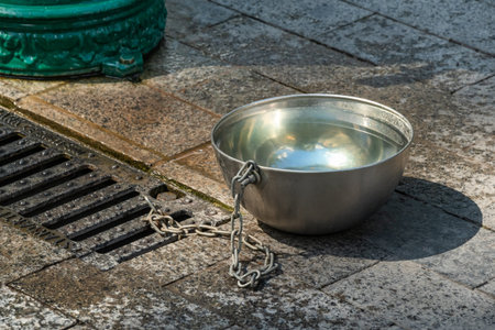 Iron plate with water for animals on the street. Metal bowl on the stone pavement of the sidewalk....