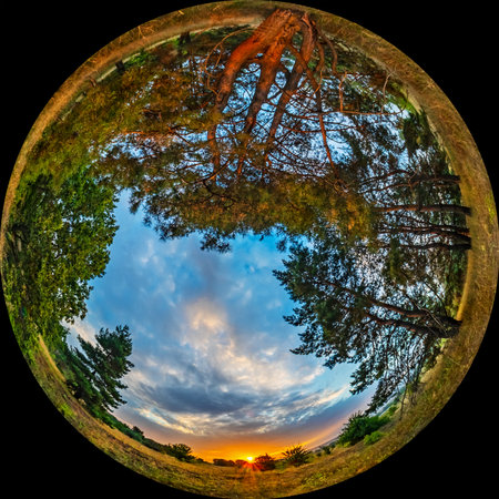 Sunrise in the countryside with coniferous trees pine trees. HDR photo in fulldome format taken through a circular fisheye lens. Wide angle of view 180 degreesの写真素材