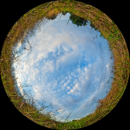 Fisheye view of grass in a meadow and blue sky with clouds. Photo taken in fulldome format through a circular wide-angle lens with a 180-degree viewの写真素材