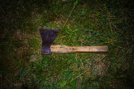 An ax lies on the grass at night. An old ax is thrown on the ground.