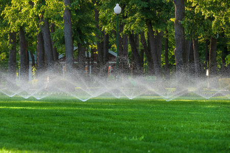 Automatic splinker irrigation system with water sprayer for the lawn. Watering a green lawn in a park or city gardenの写真素材