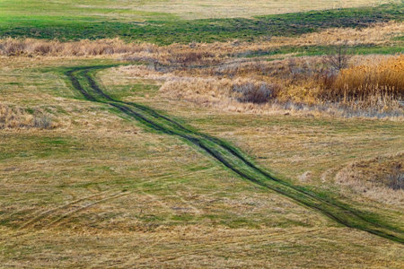 Dirt country road in a meadow with green and yellow grass. High angle view