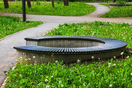 Round park bench on the alley in the garden with green grass. Circular flat timber benchの写真素材