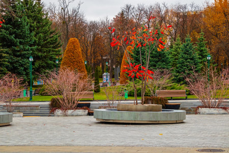 The modern Shevchenko Garden in Kharkiv, Ukraine. Various trees and park benchesの写真素材