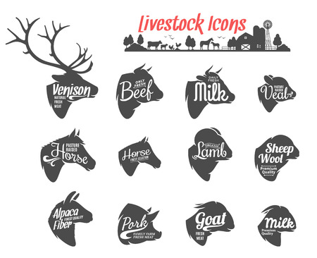 Set of livestock labels templates. Livestock icons collection for groceries, meat stores, packaging and advertising.のイラスト素材