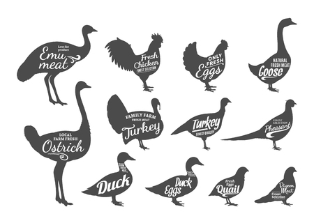 Set of butchery labels templates. Poultry icons with sample text. Poultry silhouettes collection for groceries, meat stores and advertising. Vector labels design.のイラスト素材